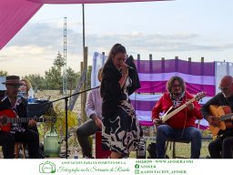 Festival Mar de Tethys 2026 - Bodega Vetas